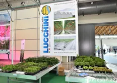 Leader nelle soluzioni per l'ambiente protetto, Idromeccanica Lucchini ha allestito uno spazio dedicato alla serricoltura.