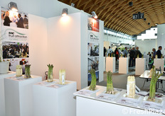 In occasione di Macfrut 2018 sono state allestite due mostre pomologiche: una sull'asparago, l'altra sulle fragole.