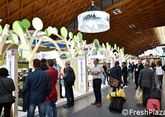 Lo stand collettivo della OPO Veneto: in realta' lo stand era doppio, con un intero corridoio nel mezzo.