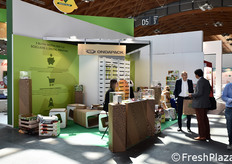 abbricazione di carta e cartone ondulato e di imballaggi di carta e cartone.