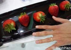 E le fragolone giganti!