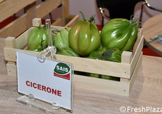 Dettaglio di una varietà Sais.