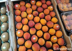 Albicocche italiane già sul mercato e... in fiera.