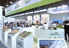 Lo stand collettivo di Apoconerpo.