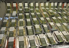 Le refenreze di V gamma di Anna Tura.