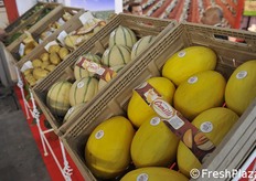 Alcuni prodotti dell'azienda Camilli.