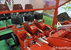 Particolare di trapiantatrice Checchi&Magli