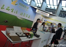 Lo stand dell'azienda di stato cinese.