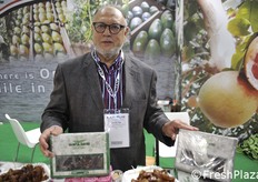 Datteri dal nord Africa.