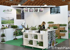 Microplant, laboratorio per la micropropagazione delle piante, specializzato in orticoltura.