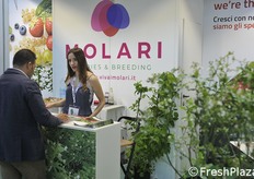 Lo stand dei Vivai Molari, specializzato in piccoli frutti.