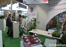 I lamponi sono il punto di forza di Molari.