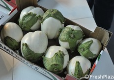 Melanzane de L'Ortolano.