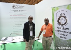 Mwiya Mukamba e Jones Pemba.