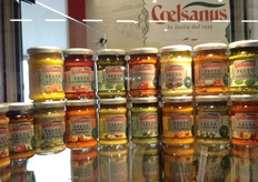 Ampia linea di trasformati a marchio Coelsanus.