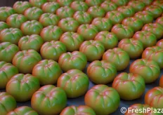Sembrano pomodori freschi appena raccolti, e invece è pasta di mandorla pura modellata artigianalmente con arte dalla siciliana Etna Dolce.