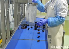 Prototipo di macchina agevolatrice per deraspare l'uva