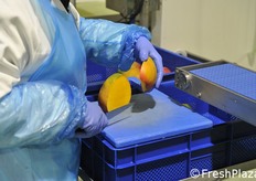 Taglio del mango prima della pelatura.