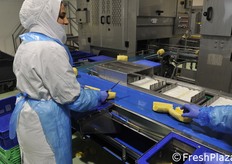 La machcina sbuccia e detorsola l'ananas e le operatrici tagliano le mezzene.