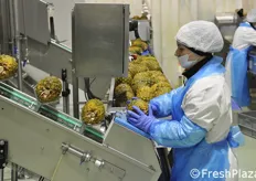 Il carico degli ananas che arrivano all'operatrice dopo il lavaggio.