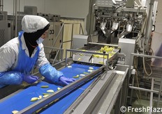 la linea di lavorazione delle mele.