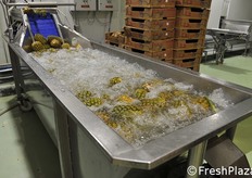 Lavaggio ananas.