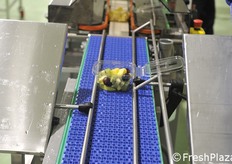 Vaschetta con mix di frutta.