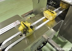 Le vaschette sono dotate di forchetta e vengono richiuse automaticamente.