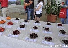 La mostra pomologica.