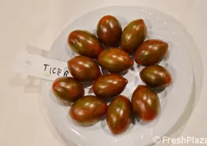 Una serie di ibridi di pomodoro gioca sulla presenza di antociani, con interessanti risultati.