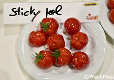 "Non mancano le sorprese: accanto a pomodori tradizionali, dalla buccia consistente, ci sono quelli con un carattere genetico cosiddetto "sticky peel", cioè con una superficie senza una vera cuticola superiore, cosa che rende il pomodoro insolitamente lucido, quasi gelatinoso, molto delicato alla manipolazione ma sorprendente."