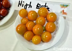 Pomodori ad alto contenuto di beta-carotene.