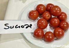 Ibridi innovativi che giocano sulla selezione del tipo di zuccheri e del loro rapporto (saccarosio e fruttosio in rapporto al glucosio): ciò conferisce ai frutti risultati aromatici sorprendenti.