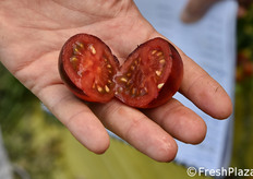 L'interno, rosso brillante, del pomodoro nero.