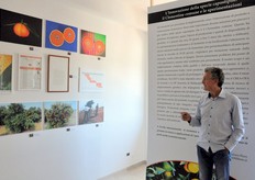 Tutto l'aspetto legato all'agrumicoltura è stato curato dall'agronomo dott. Francesco Perri(citrus scientist specialist), il quale ha contribuito fattivamente all'allestimento del museo: mettendo a disposizione il suo sapere, oltre a documenti, locandine storiche, foto, e diverse schede e materiali sull'argomento.