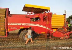 Una delle macchine usate per scavare le patate.