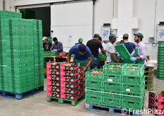 Fasi del confezionamento.