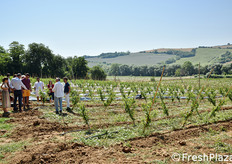 Un momento delle visite in campo.
