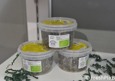 Capperi di Lipari, azienda Italiana Capers Sud.