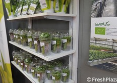 Micro vegetali di Storie Aromatiche di Castellamare di Stabia.