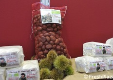 Farina e marroni freschi.