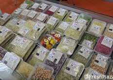 Germogli dell'azienda Vivo.