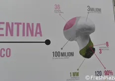 Valentina Funghi produce ogni anno 3 milioni di funghi prataioli.