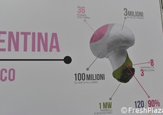 Valentina Funghi produce ogni anno 3 milioni di funghi prataioli.