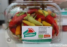 Peperoncino bio della Biolatina di Sabaudia (LT).
