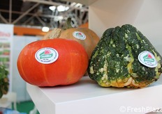 Varie tipologie di zucche bio.
