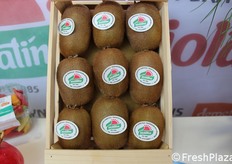 Kiwi bio della Biolatina.