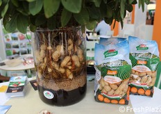 Arachidi biodinamiche. Dalla pianta al prodotto confezionato.