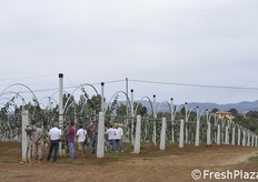 Impianto di Dorì che sarà coperto a breve con teli antipioggia.