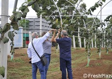 Verifiche di persona e da vicino per vedere il sistema di sostegno dei teli antipioggia.